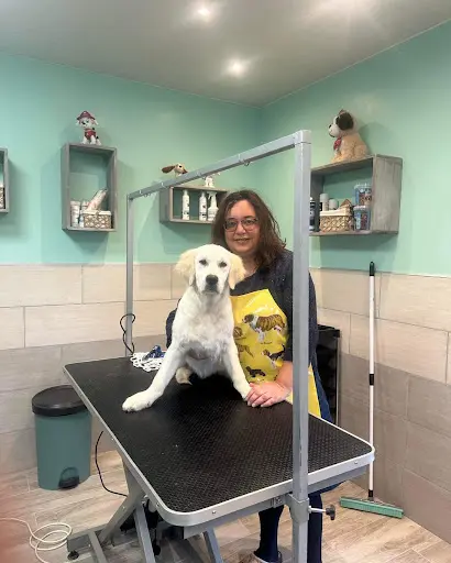 Virgin & Dog - Toiletteur ,salon de Toilettage, Toilettage,