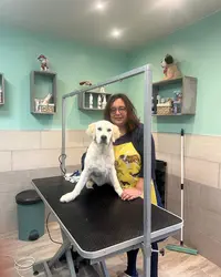Virgin & Dog - Toiletteur ,salon de Toilettage, Toilettage,