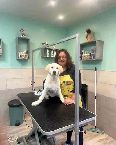 Virgin & Dog - Toiletteur ,salon de Toilettage, Toilettage,