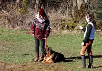 My Pet And Me