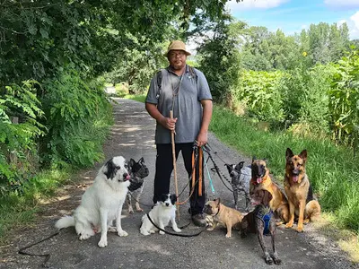 Francis Nicolas. Seuls les Chiens Bien Éduqués Sont Aimés du Public