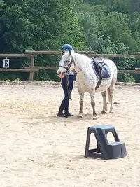 Ferme Equestre Hippocamp 