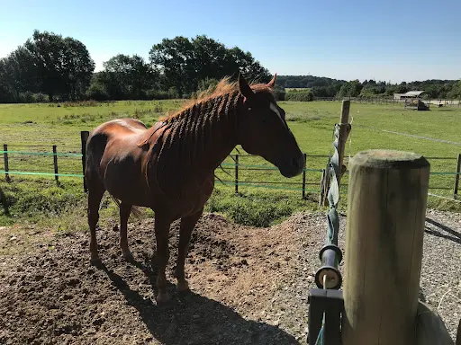 Écurie Ca Ranch