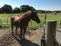 Écurie Ca Ranch