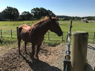 Écurie Ca Ranch