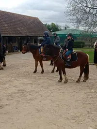 Écurie de la Voie Blanche