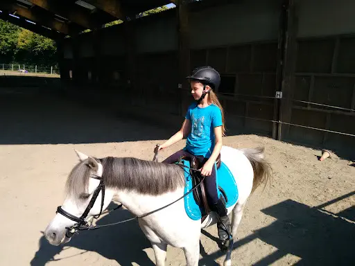 Club Hippique
