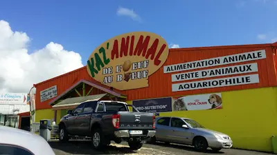 Kaz Animal Abymes.