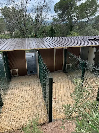 Pension Canine et Toilettage Samara