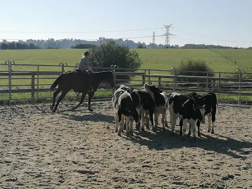 Juca Ranch