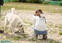 Une Patte Un Sabot • Educatrice Comportementaliste Canin