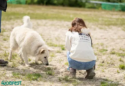 Une Patte Un Sabot • Educatrice Comportementaliste Canin