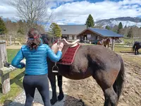 Cercle Equestre Volte Face
