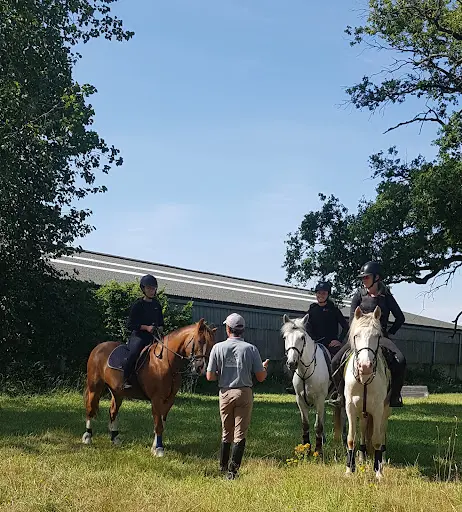 O Reil Equitation