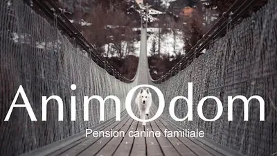 Animodom Services / Elevage des Terres de Noé