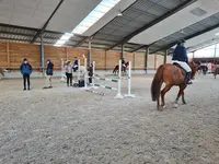 Centre Équestre Poney Club des Herbiers
