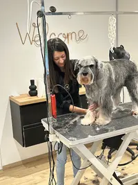 Le Luxe de Ria - Salon de Toilettage Pour Chien