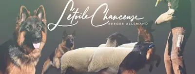l'Etoile Chanceuse