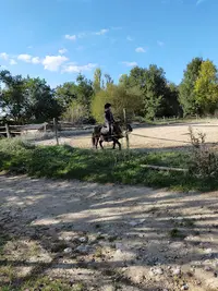 Poney Club