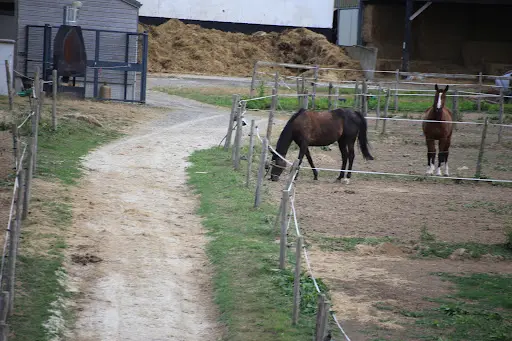 Le Centre Equestre du Manoir