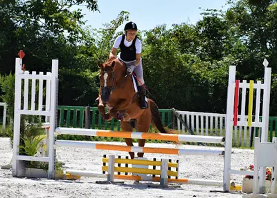 Centre Équestre le Cheval Autrement