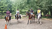Poney Découverte
