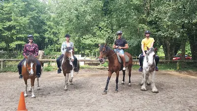 Poney Découverte