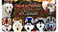 La Tribue d'Elendil en Provence