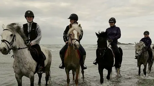 Les Poneys de la Millière