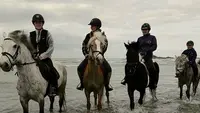 Les Poneys de la Millière