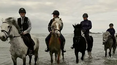 Les Poneys de la Millière
