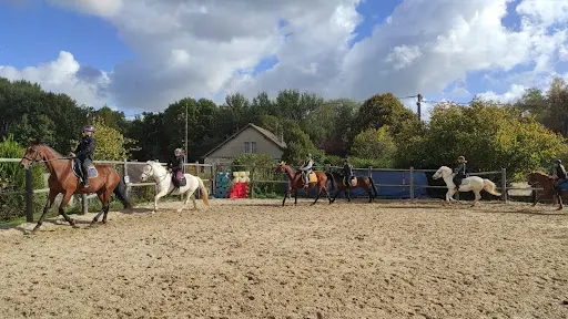 Poney Club et Centre Equestre des Mesnuls