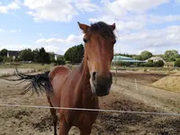 Centre Equestre des Molières