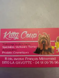 Kitty Coupe