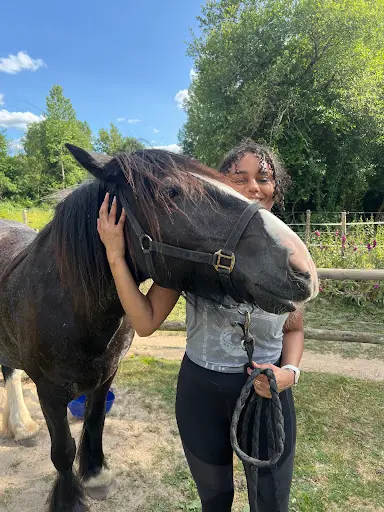 Les Chevaux de la Rosière