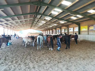 Centre Equestre de Sauveterre