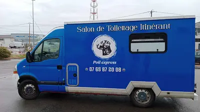 Poil Express Toiletteur À Domicile