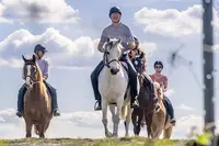 Ecuries de Brandeau - Centre Equestre