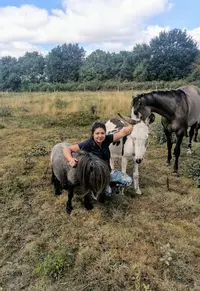 Centre Équestre Poney Club des Sorinières