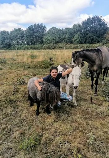 Centre Équestre Poney Club des Sorinières