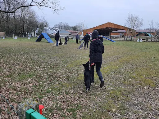 Les Sorinières - Club d'Éducation Canine et Sportive