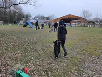 Les Sorinières - Club d'Éducation Canine et Sportive