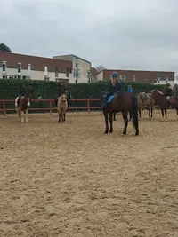 Poney Club des Ulis