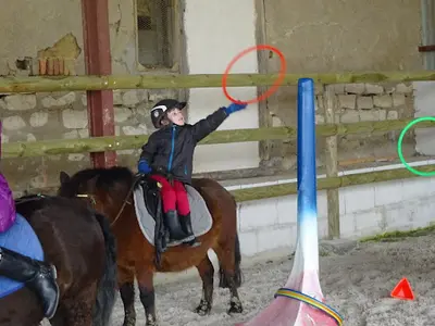 Les Écuries du Mont - Poney Club