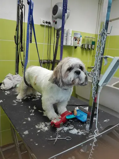 Au Bonheur Canin