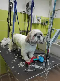 Au Bonheur Canin