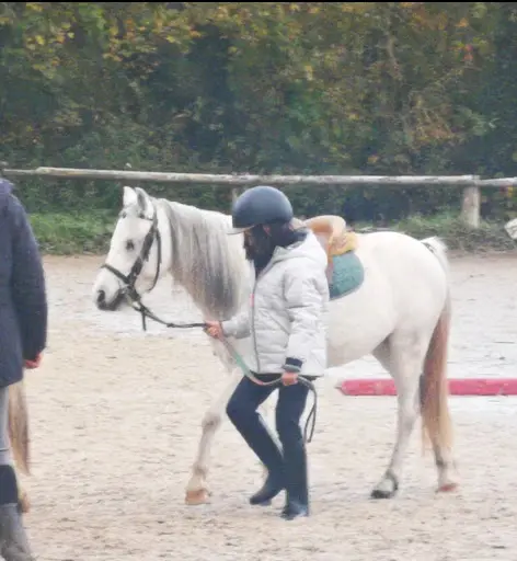 Haras de la Jonchère