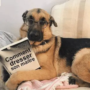 Educatrice Canin