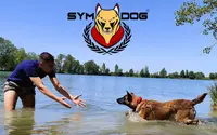 Sym Dog 31 - Toulouse - Éducateur Canin