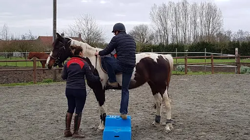 Les Écuries du Bonheur